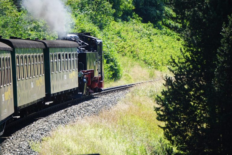 Dampfzug der Fichtelbergbahn auf der Schmalspurstrecke im Erzgebirge im Sommer