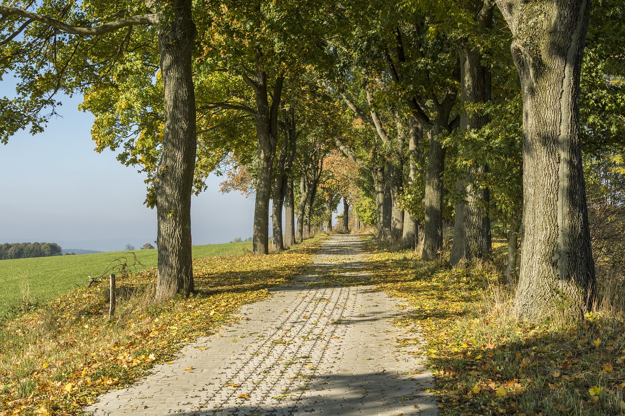 Von Pockau &uuml;ber die Hohen Steine nach Z&ouml;blitz