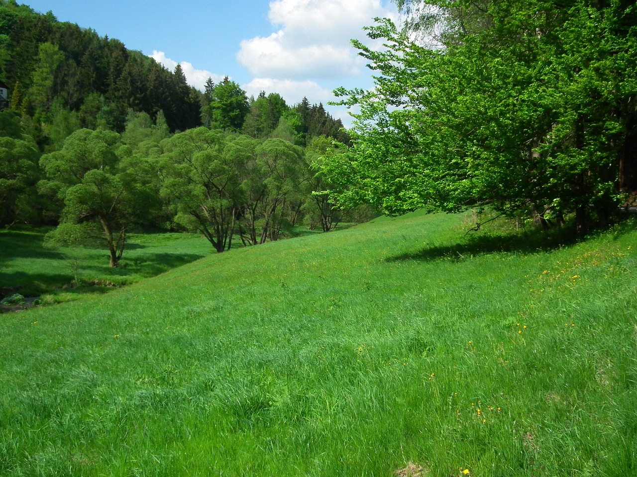 Wandern bei Marienberg: Schwarzwassertal und Moorpfad