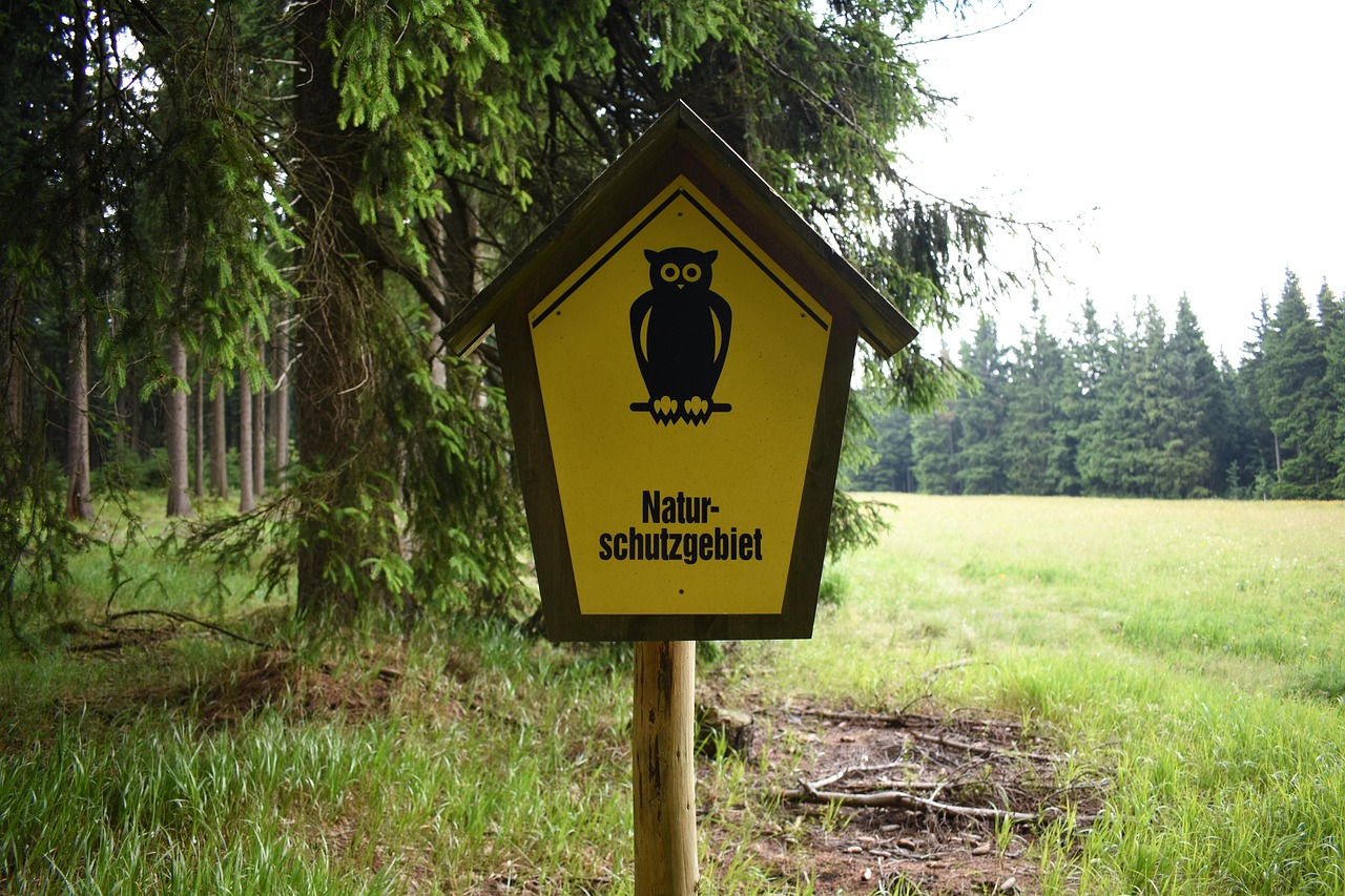 Schwarzwassertal Pobershau: Rundtour und Grüner Graben