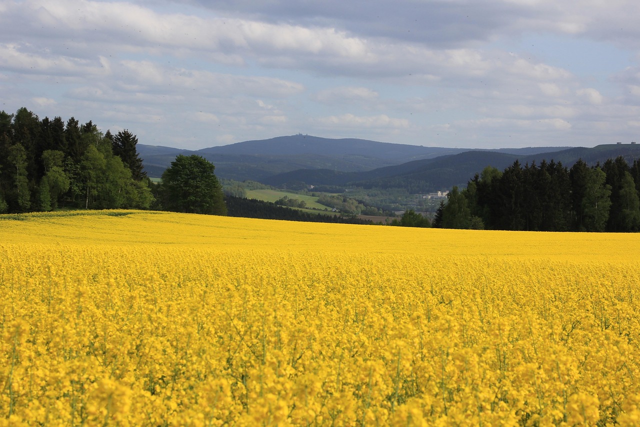 Die h&ouml;chsten Berge des Erzgebirges im &Uuml;berblick