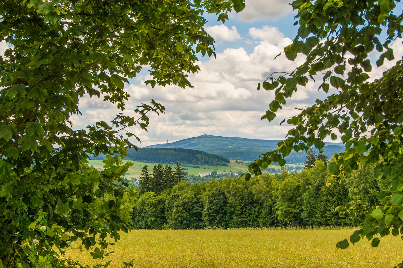 Bärenstein im Erzgebirge: Wanderung auf den höchsten der drei Basalt-Tafelberge