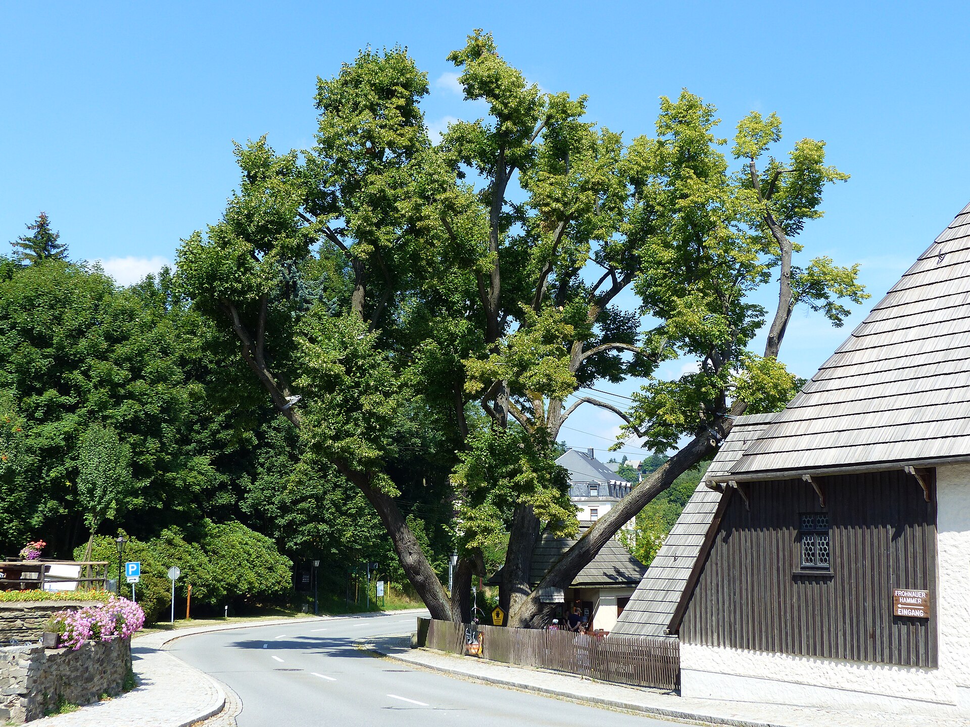 Erzgebirge heute, 18. September 2026: Kühler, wechselhafter Freitag – der Tag fürs Besucherbergwerk