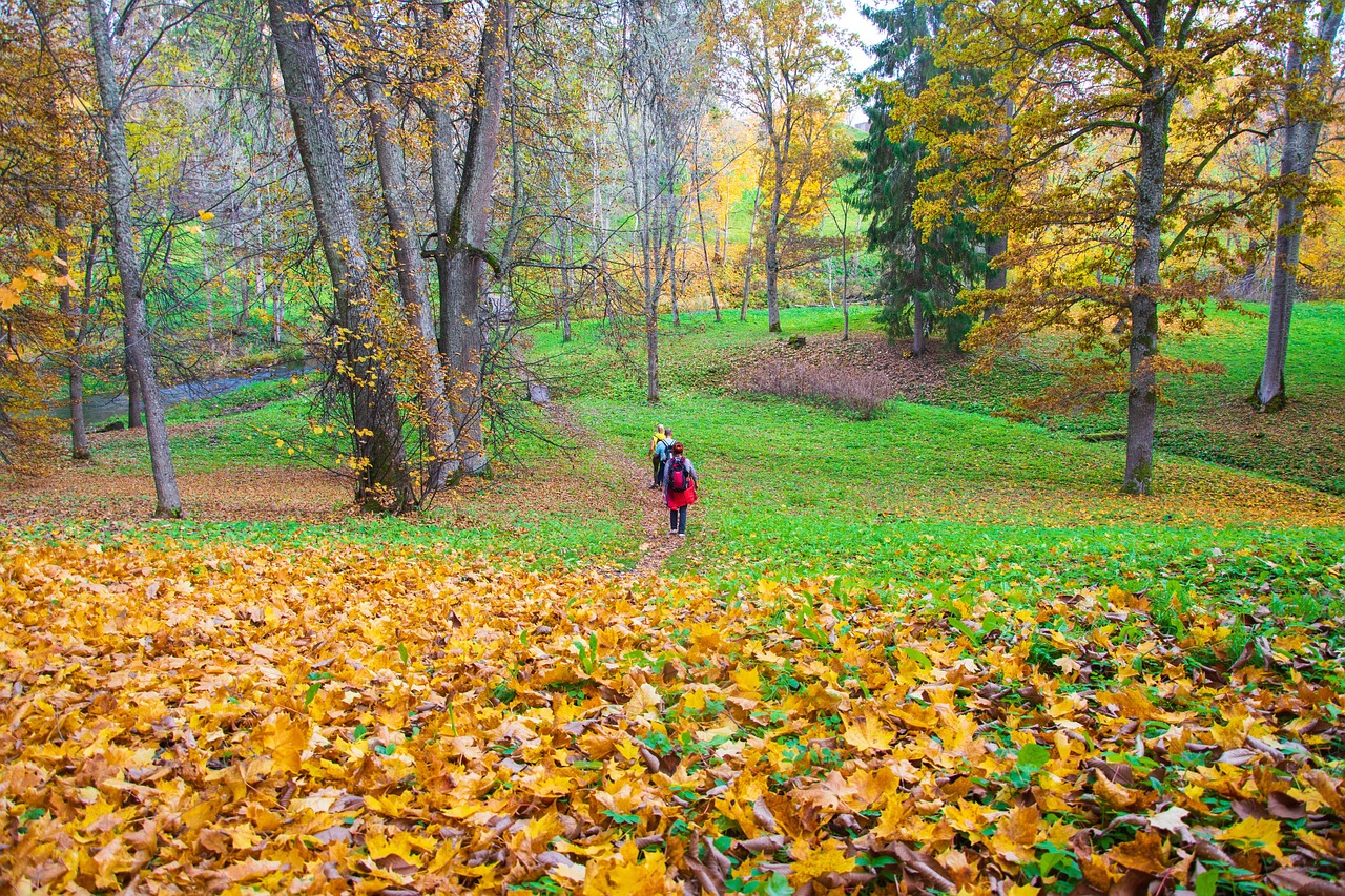 Zwiebelprinzip beim Wandern: So kleidest du dich richtig